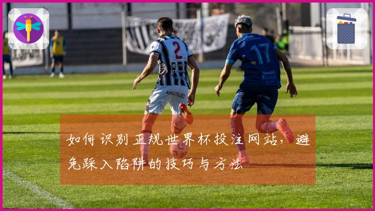 如何识别正规世界杯投注网站，避免踩入陷阱的技巧与方法