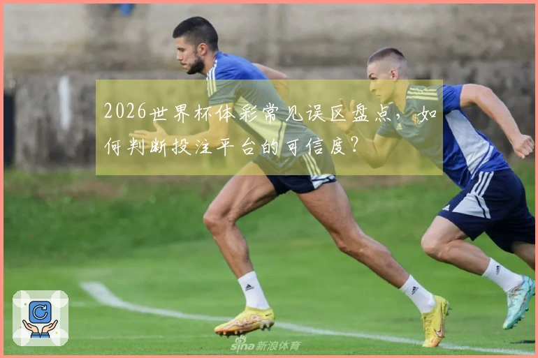 2026世界杯体彩常见误区盘点，如何判断投注平台的可信度？