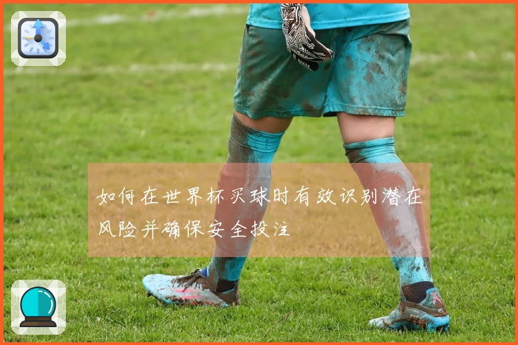 如何在世界杯买球时有效识别潜在风险并确保安全投注