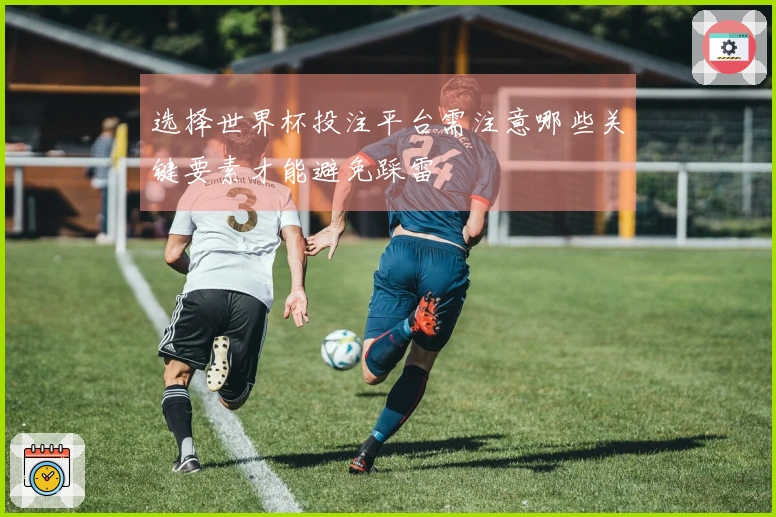 选择世界杯投注平台需注意哪些关键要素才能避免踩雷