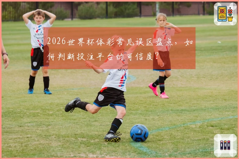 2026世界杯体彩常见误区盘点，如何判断投注平台的可信度？