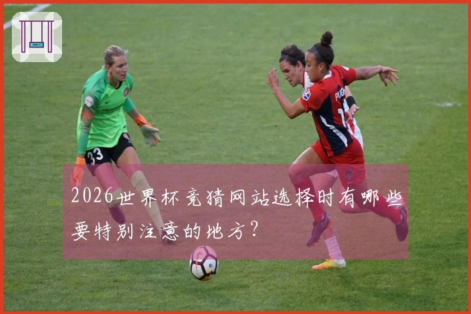2026世界杯竞猜网站选择时有哪些要特别注意的地方？